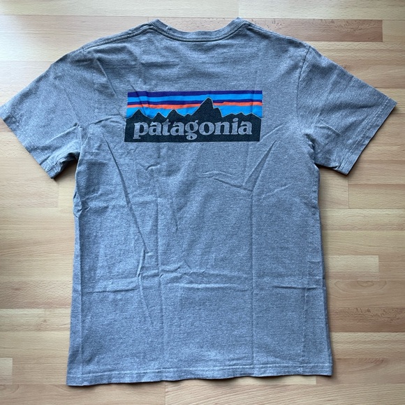 Patagonia Pocket Tee - Picture 1 of 5